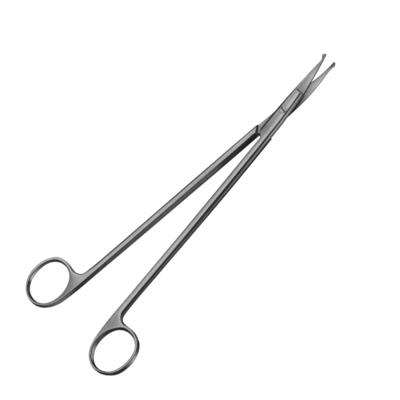 Strully Scissors
