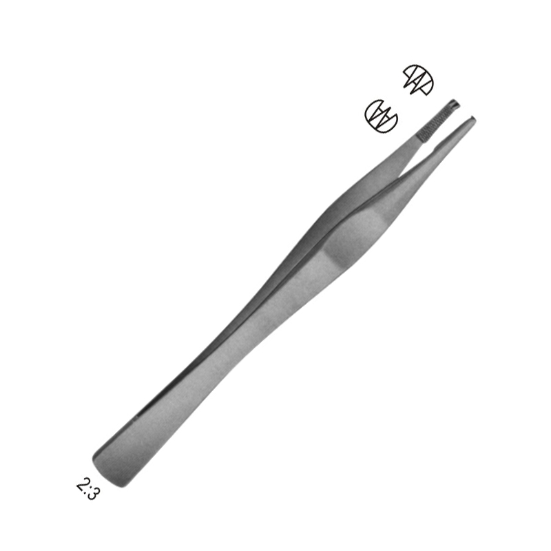 Lane Forceps, 2x3
