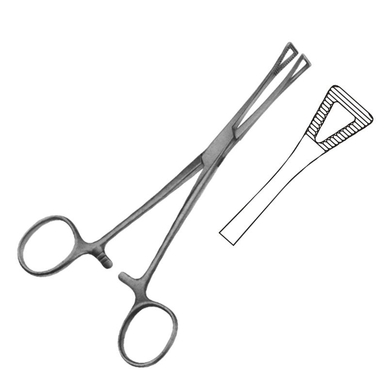 Willet-Martel Forceps
