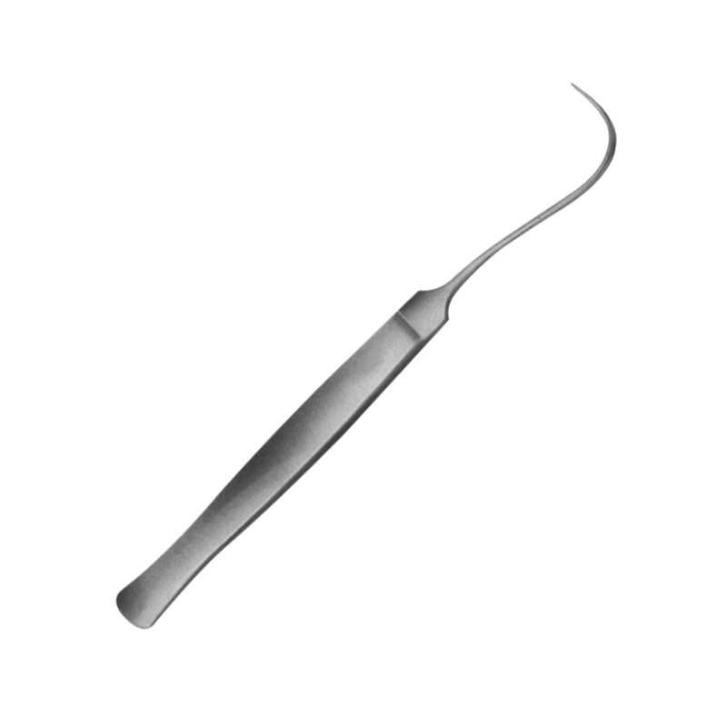 Needle
