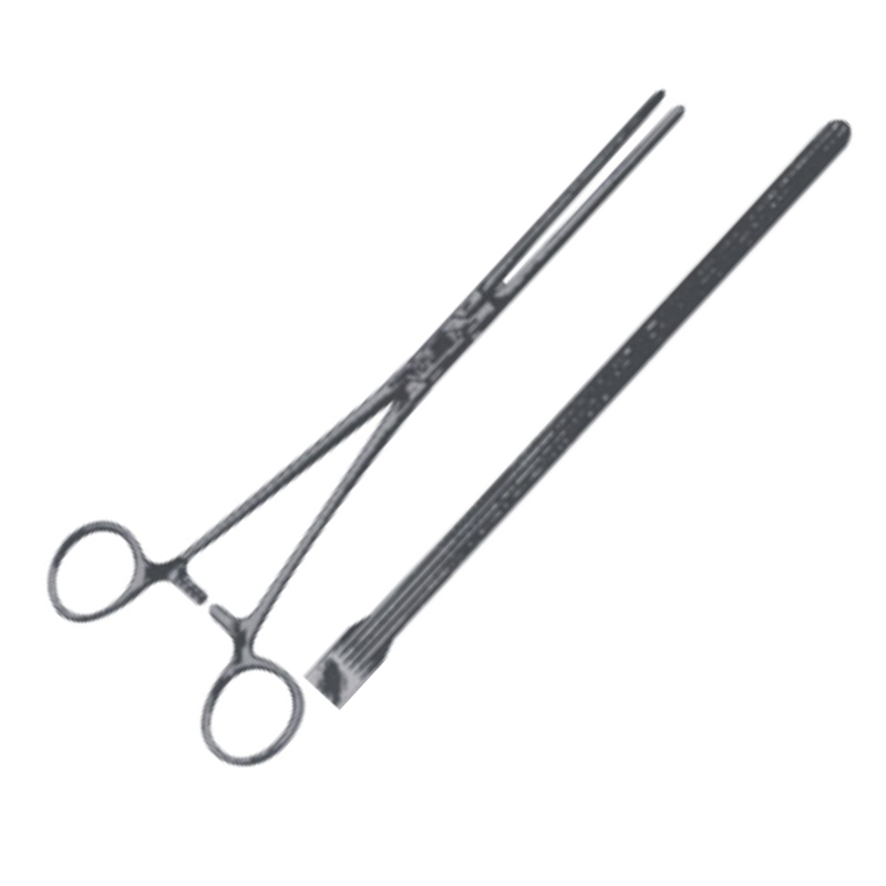 Davidson Lung Grasping Forceps