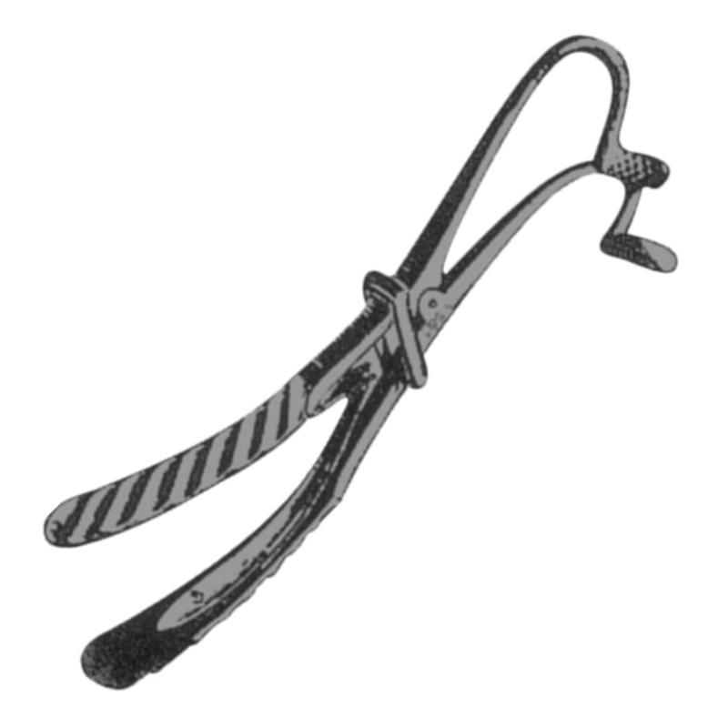 Mason Mouth Gag, A.Jaws