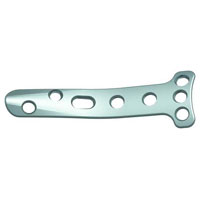 Spoon Plate 4.5