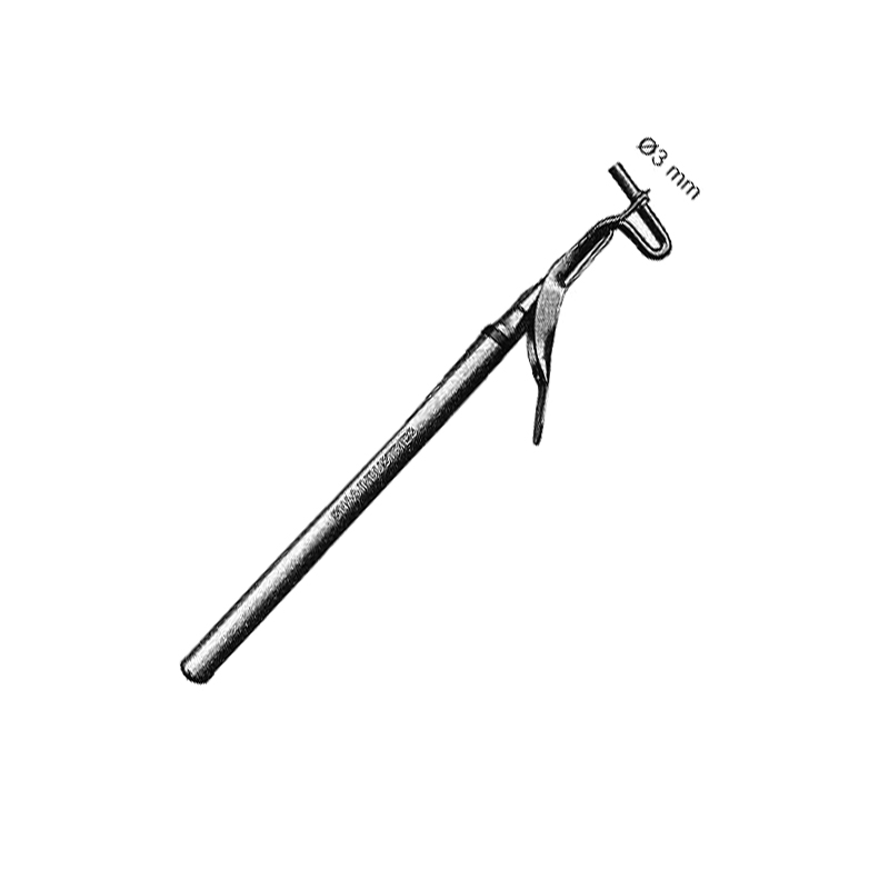 Amalgam Carrier, Jumbo
