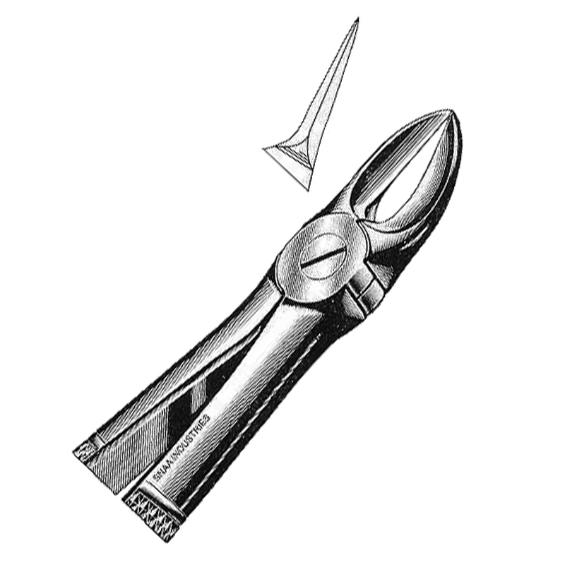 Extracting Forceps English Pattern, Fig. 56