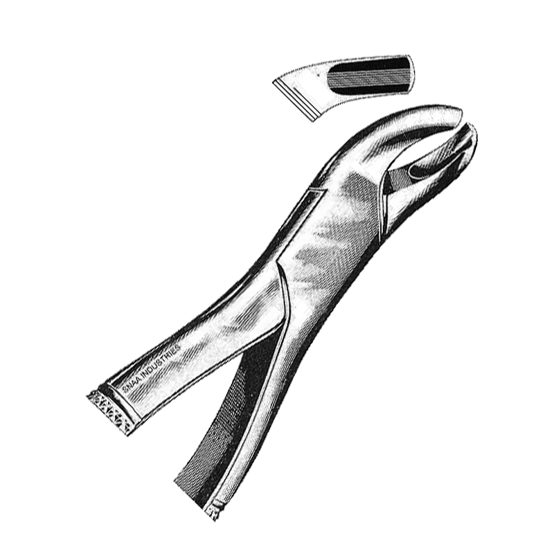 Tooth Extracting Forceps American Pattern fig.18L