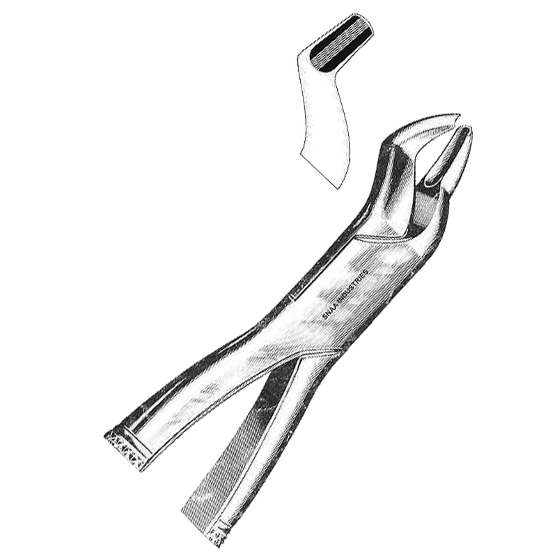 Tooth Extracting Forceps American Pattern fig.53 R
