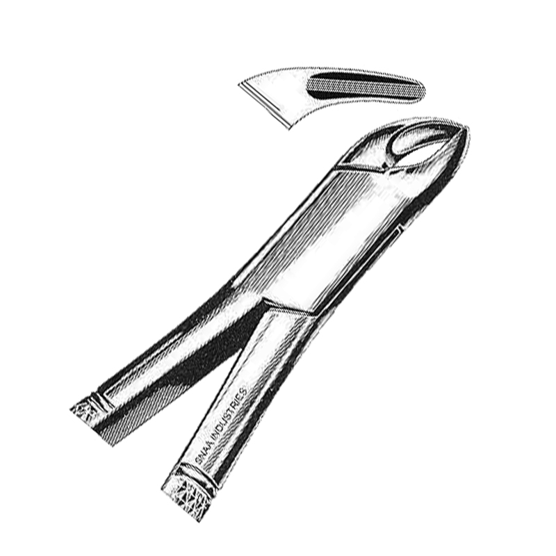 Tooth Extracting Forceps American Pattern fig.151s