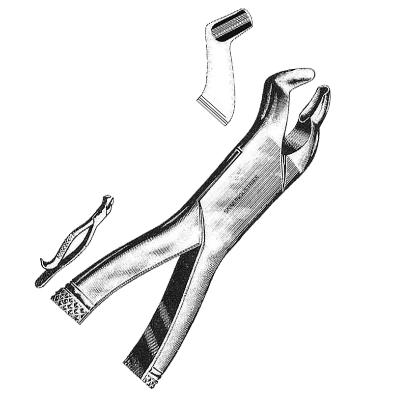 Tooth Extracting Forceps American Pattern fig.210H