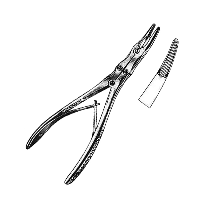Bone Rongues Ruskin-mini