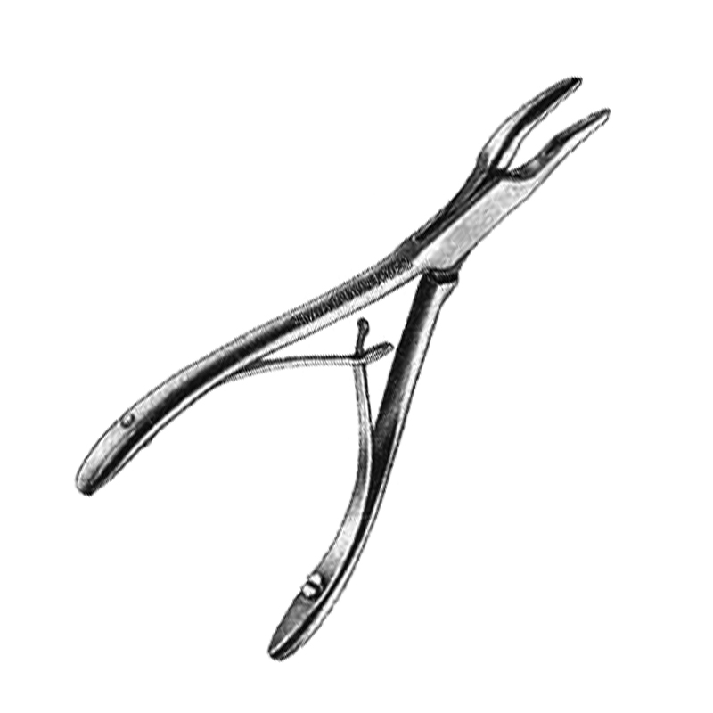 Bone Rongues Mini-Friedman