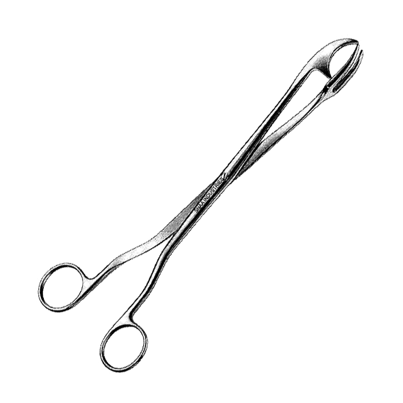Rogge Sterilizing Forceps