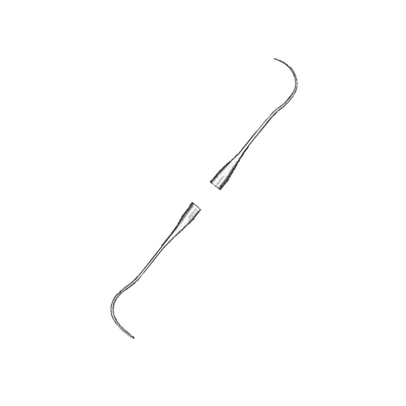 Probe, Fig.2A