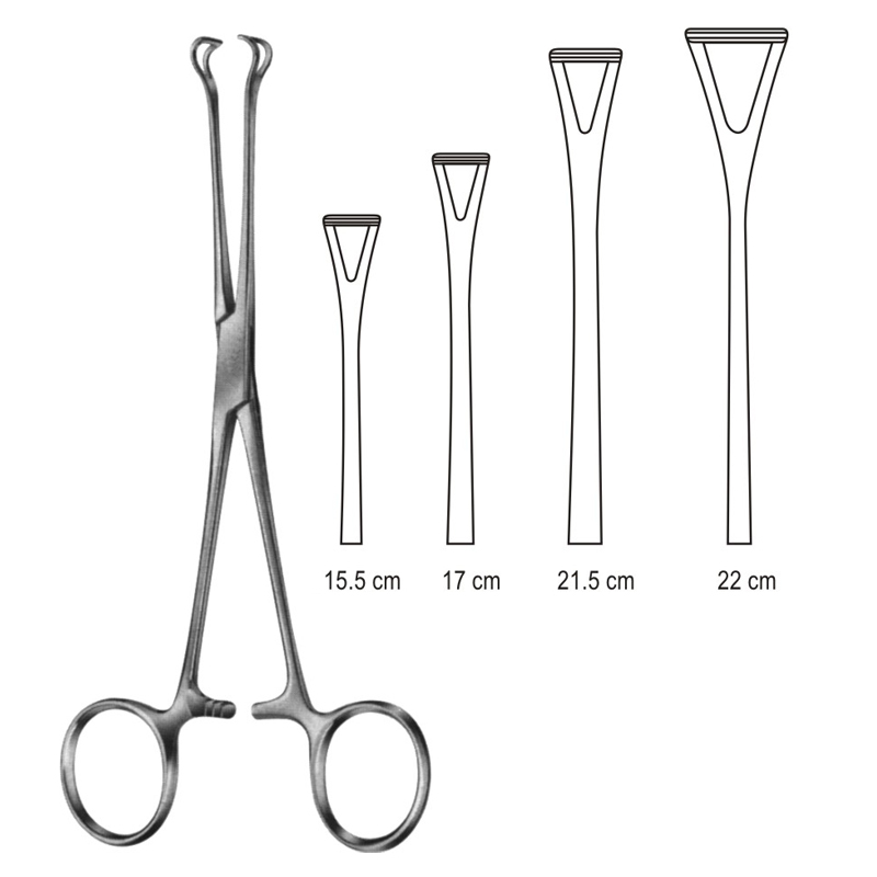Babcock Intestinal Forceps