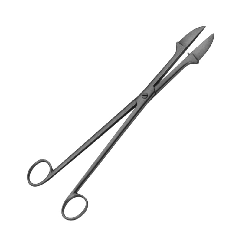 Smellie Perforators