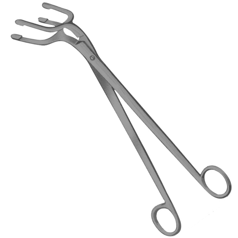 Harrison Sterilizing Forceps